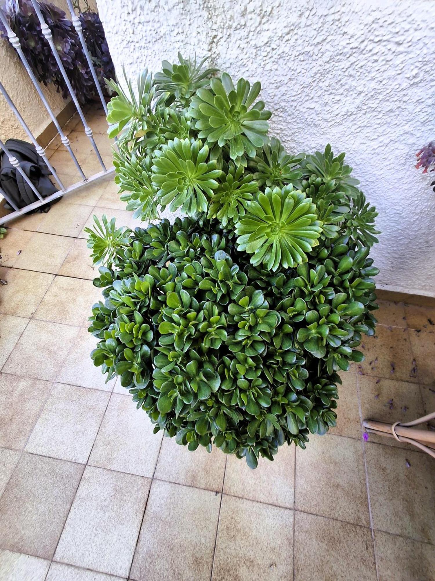 Apartemento Monika Monte Pedrera C 4 TOP Aussicht Denia Bagian luar foto